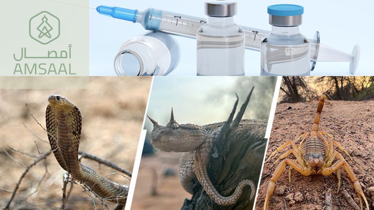 AMSAAL l'entreprise d'Abu Dhabi qui élève des serpents et des scorpions venimeux pour sauver des vies.