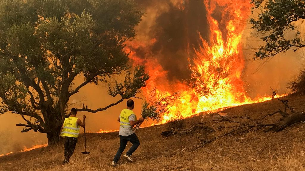 Les incendies de forêt dans la région de Kabylie en Algérie