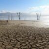 La sécheresse menace la sécurité alimentaire en Tunisie
