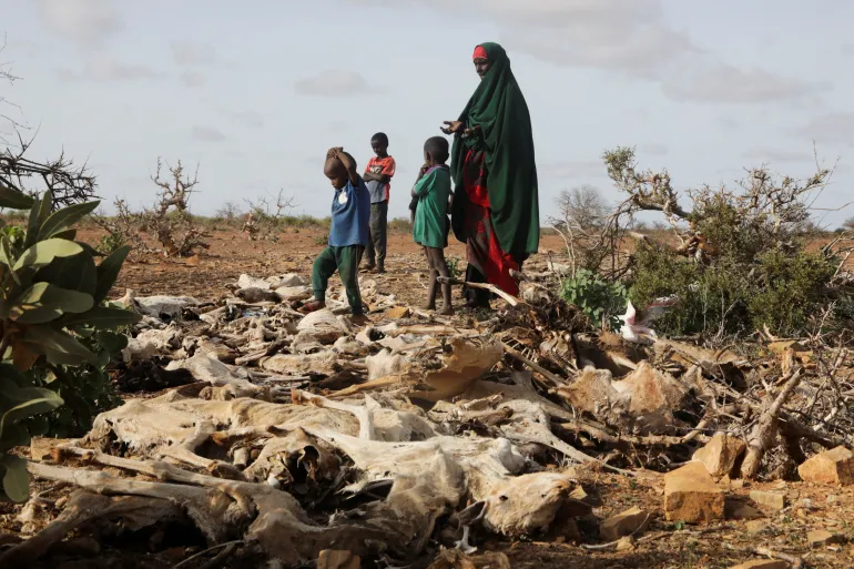 L'Afrique de l'Est menacée par une sécheresse accrue